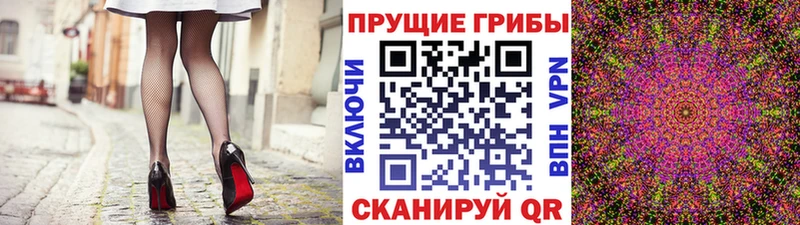 MEGA как войти  Болгар  Галлюциногенные грибы Magic Shrooms 